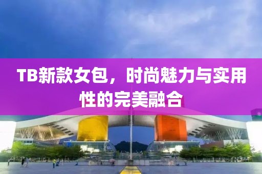 TB新款女包，时尚魅力与实用性的完美融合