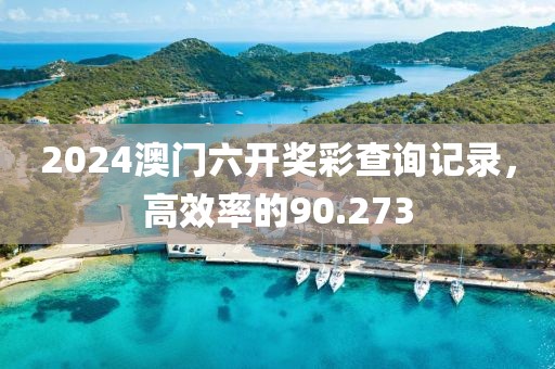 2024澳门六开奖彩查询记录，高效率的90.273