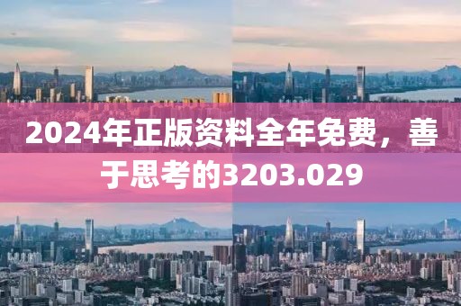 2024年正版资料全年免费，善于思考的3203.029