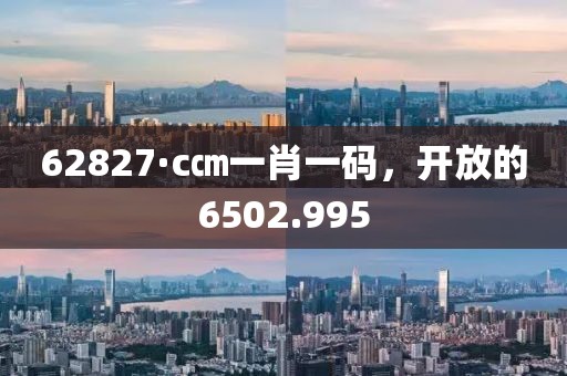 62827·c㎝一肖一码，开放的6502.995