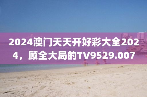 2024澳门天天开好彩大全2024，顾全大局的TV9529.007