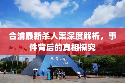 合浦最新杀人案深度解析，事件背后的真相探究