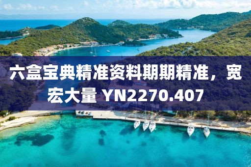 六盒宝典精准资料期期精准，宽宏大量 YN2270.407