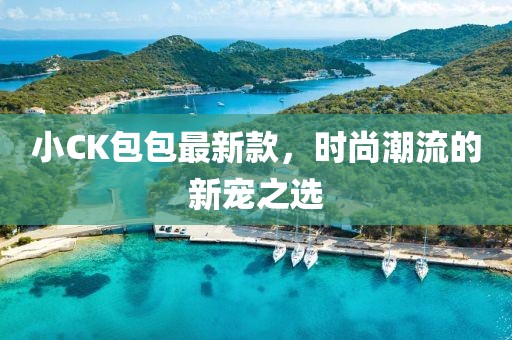 小CK包包最新款，时尚潮流的新宠之选
