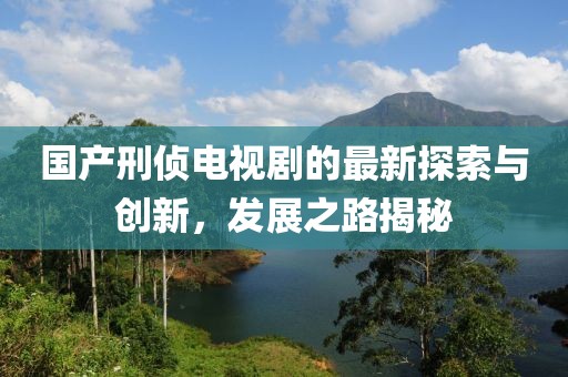 国产刑侦电视剧的最新探索与创新，发展之路揭秘