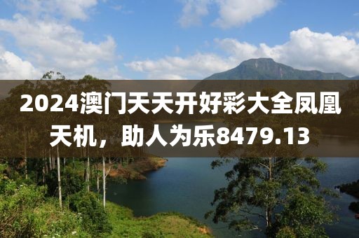2024澳门天天开好彩大全凤凰天机，助人为乐8479.13