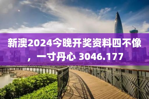 新澳2024今晚开奖资料四不像，一寸丹心 3046.177