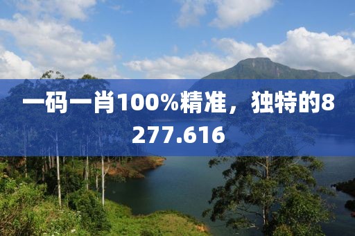 一码一肖100%精准，独特的8277.616