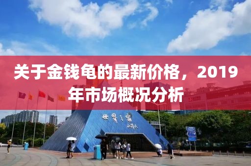关于金钱龟的最新价格，2019年市场概况分析