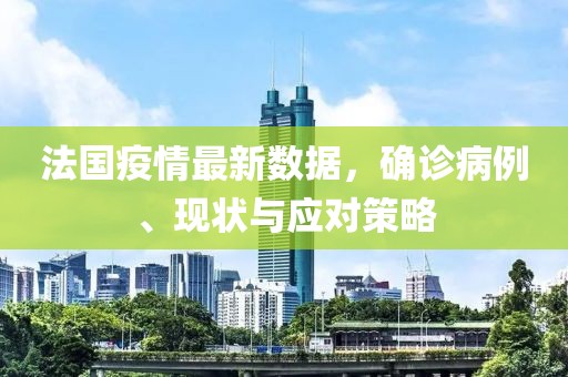 法国疫情最新数据，确诊病例、现状与应对策略