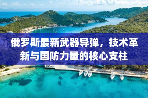 俄罗斯最新武器导弹，技术革新与国防力量的核心支柱