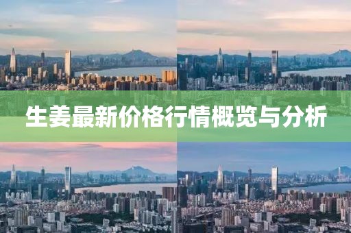 生姜最新价格行情概览与分析