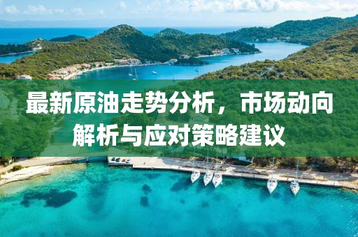 最新原油走势分析，市场动向解析与应对策略建议