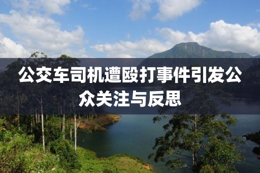 公交车司机遭殴打事件引发公众关注与反思