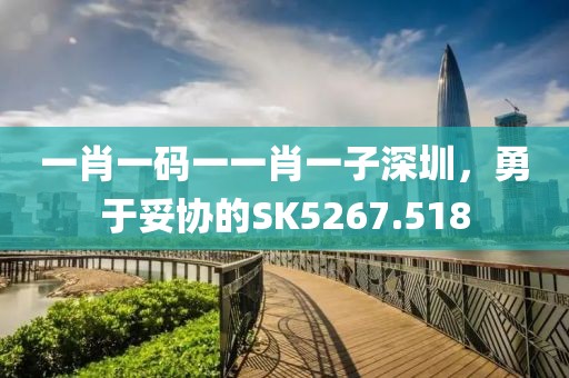 一肖一码一一肖一子深圳，勇于妥协的SK5267.518