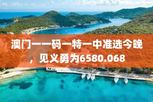 澳门一一码一特一中准选今晚，见义勇为6580.068