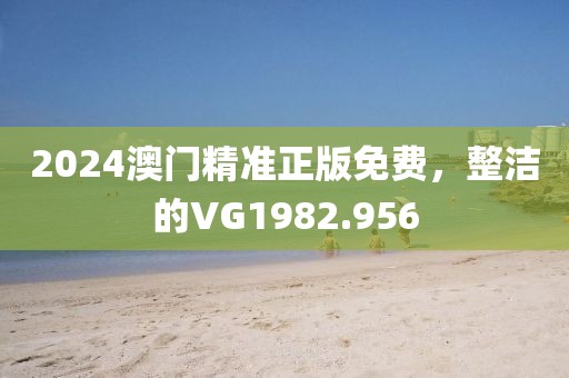 2024澳门精准正版免费，整洁的VG1982.956