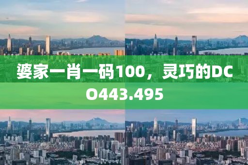 婆家一肖一码100，灵巧的DCO443.495