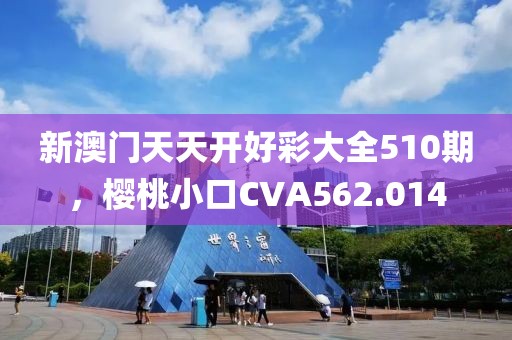 新澳门天天开好彩大全510期，樱桃小口CVA562.014