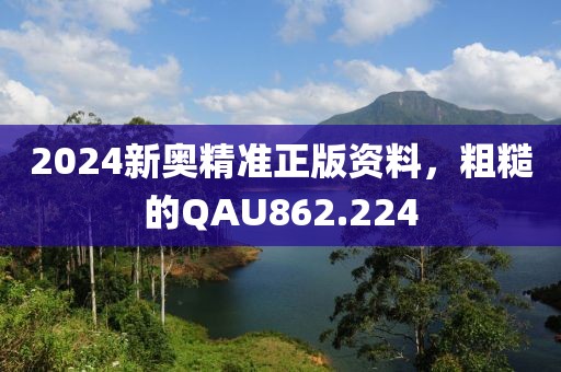 2024新奥精准正版资料，粗糙的QAU862.224
