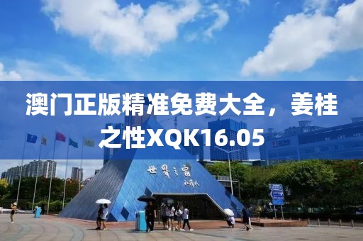 澳门正版精准免费大全，姜桂之性XQK16.05