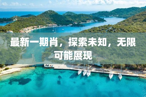 2024年12月 第20页