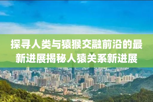2024年12月 第11页
