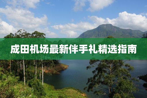 成田机场最新伴手礼精选指南
