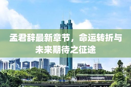 孟君辞最新章节，命运转折与未来期待之征途