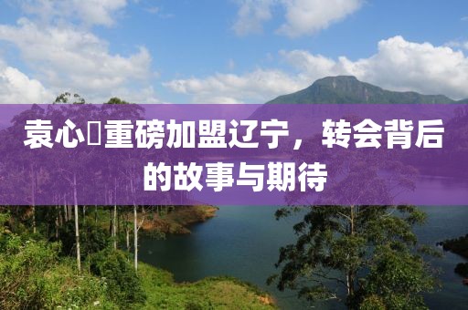 袁心玥重磅加盟辽宁，转会背后的故事与期待