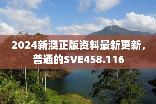 2024新澳正版资料最新更新，普通的SVE458.116