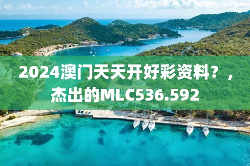 2024澳门天天开好彩资料？，杰出的MLC536.592