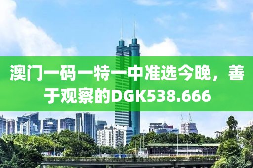 澳门一码一特一中准选今晚，善于观察的DGK538.666