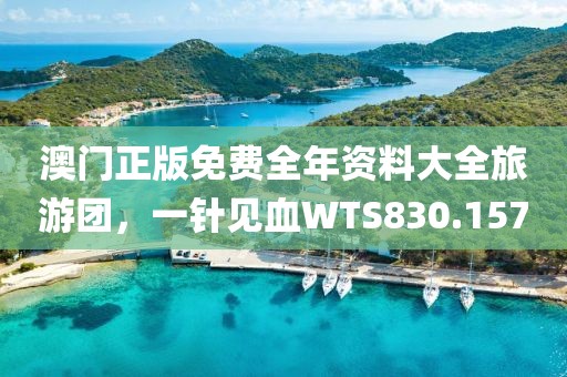 澳门正版免费全年资料大全旅游团，一针见血WTS830.157