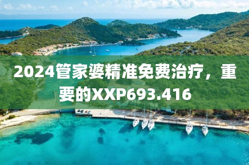 2024管家婆精准免费治疗，重要的XXP693.416