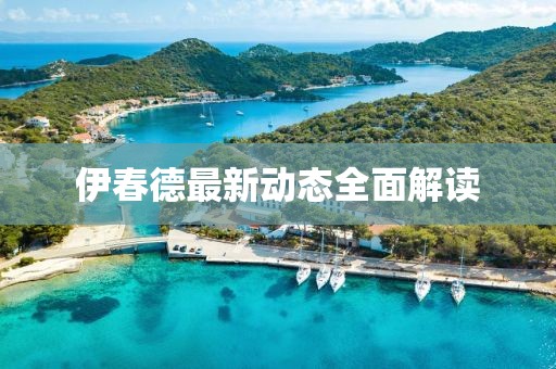 伊春德最新动态全面解读
