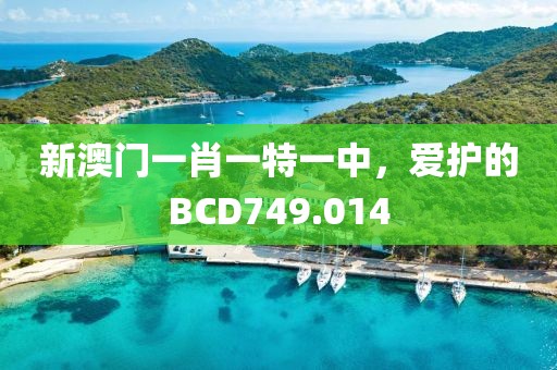 新澳门一肖一特一中，爱护的BCD749.014
