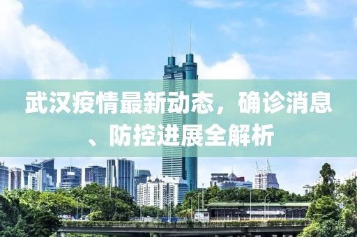 武汉疫情最新动态，确诊消息、防控进展全解析