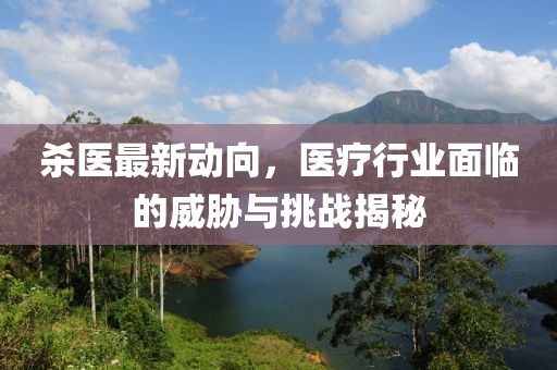 杀医最新动向，医疗行业面临的威胁与挑战揭秘