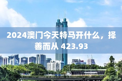 2024澳门今天特马开什么，择善而从 423.93