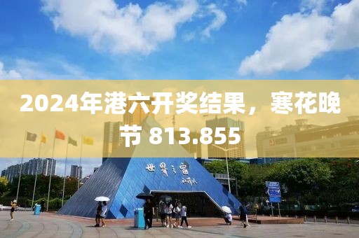 2024年港六开奖结果，寒花晚节 813.855