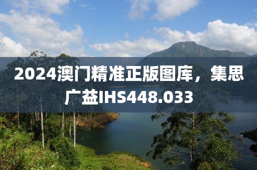 2024澳门精准正版图库，集思广益IHS448.033