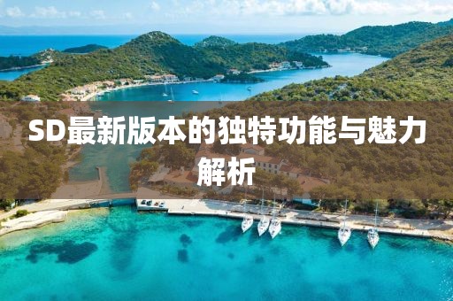SD最新版本的独特功能与魅力解析