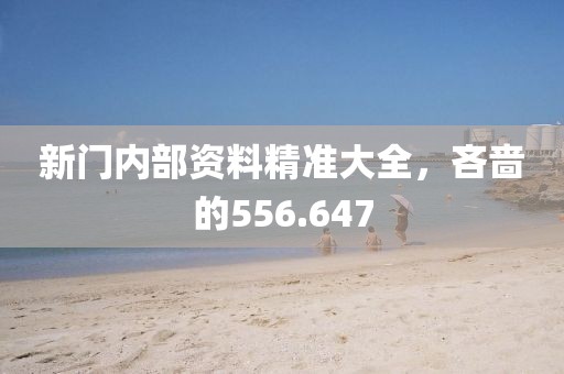 新门内部资料精准大全，吝啬的556.647