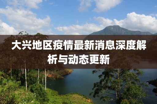 大兴地区疫情最新消息深度解析与动态更新