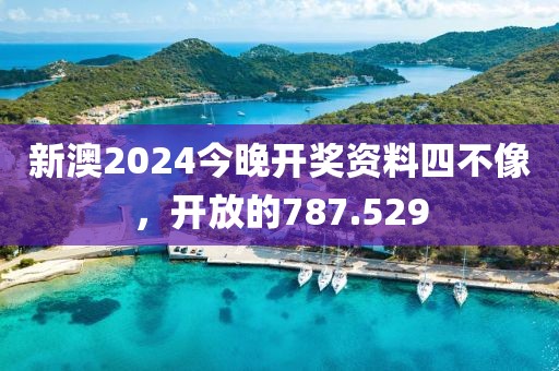 新澳2024今晚开奖资料四不像，开放的787.529