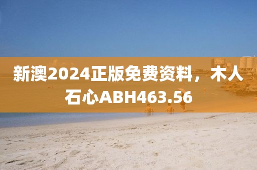 新澳2024正版免费资料，木人石心ABH463.56