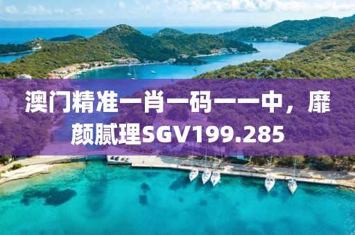澳门精准一肖一码一一中，靡颜腻理SGV199.285