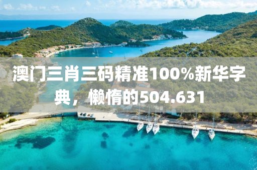 澳门三肖三码精准100%新华字典，懒惰的504.631