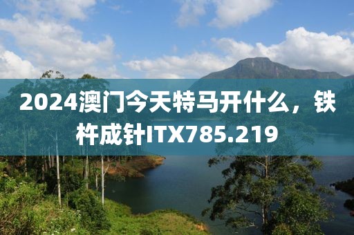 2024澳门今天特马开什么，铁杵成针ITX785.219